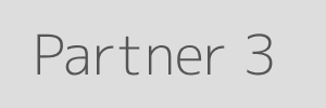 Partner 3