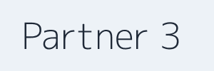 Partner 3