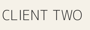 Client Brand Two logo