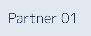 合作伙伴 01