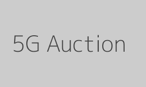 5G Auction