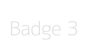 Badge 3