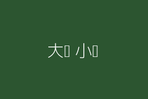 大乔小乔
