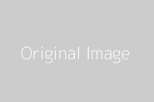 Original Image Preview