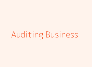 Auditing your Business