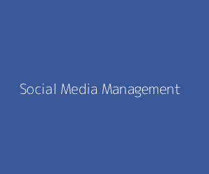 Sidebar Sample 1 - Social Media
