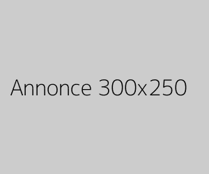 Exemple de rectangle publicitaire contenu au format 300 par 250 pixels