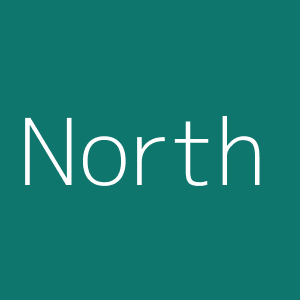 Fort Wayne North Stars logo