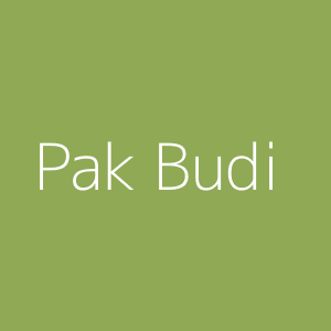Pak Budi