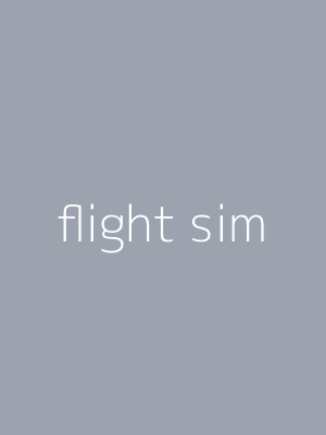 flight sim