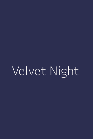 Sampul buku Velvet Night