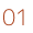Step 01