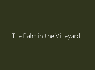 The Palm in the Vineyard