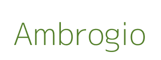 Ambrogio Terminal
