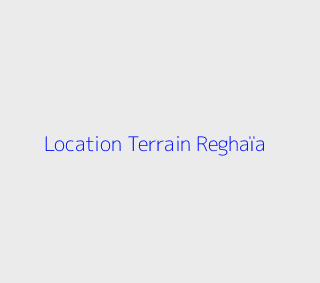 Location Terrain  Alger