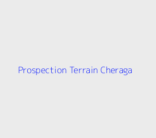Prospection Terrain  Alger