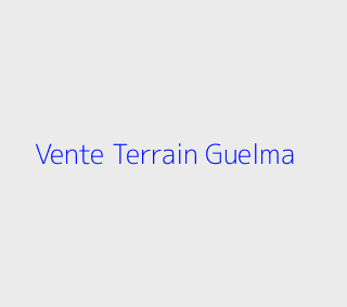 Vente Terrain  Guelma