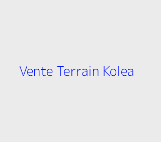 Vente Terrain  Tipaza