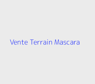 Vente Terrain  Mascara