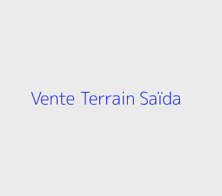 Vente Terrain  Saida