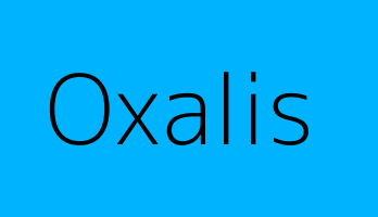 Oxalis