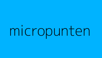 micropunten