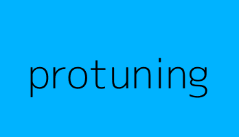 protuning