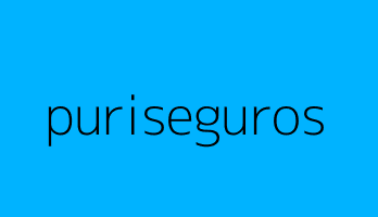 puriseguros