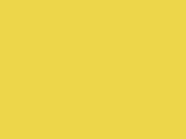 U2644 PE Saffron Yellow