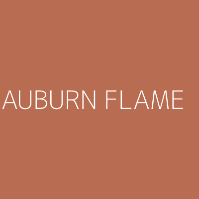 Dulux Colour Tester Auburn Flame, 30ML