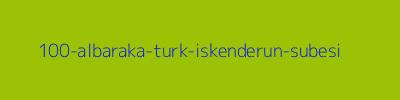 100 - Albaraka Türk İskenderun Şubesi