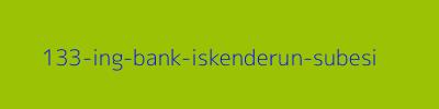 133 - ING Bank İskenderun Şubesi