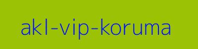 AKL VİP Koruma