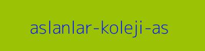 Aslanlar Koleji Aş