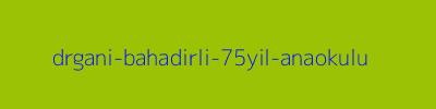 DR.GANİ BAHADIRLI 75.YIL ANAOKULU