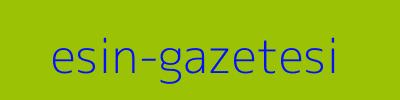 Esin Gazetesi
