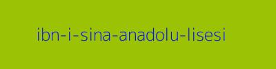 İBN-İ SİNA ANADOLU LİSESİ