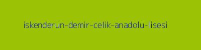 İSKENDERUN DEMİR ÇELİK ANADOLU LİSESİ