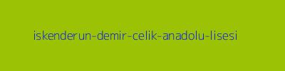 İSKENDERUN DEMİR ÇELİK ANADOLU LİSESİ