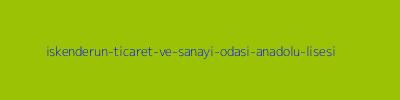 İSKENDERUN TİCARET VE SANAYİ ODASI ANADOLU LİSESİ