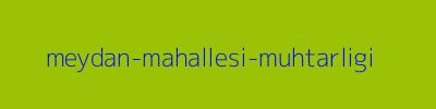 MEYDAN MAHALLESİ MUHTARLIĞI