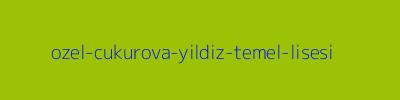 ÖZEL ÇUKUROVA YILDIZ TEMEL LİSESİ