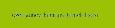 ÖZEL GÜNEY KAMPÜS TEMEL LİSESİ