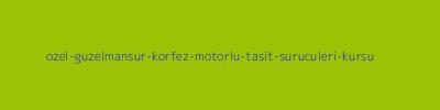 Özel Güzelmansur Körfez Motorlu Taşıt Sürücüleri Kursu