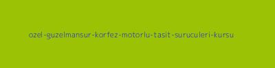 Özel Güzelmansur Körfez Motorlu Taşıt Sürücüleri Kursu