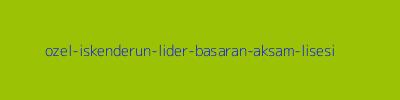 ÖZEL İSKENDERUN LİDER BAŞARAN AKŞAM LİSESİ