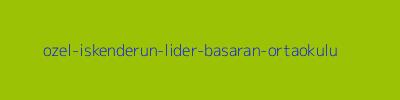 ÖZEL İSKENDERUN LİDER BAŞARAN ORTAOKULU