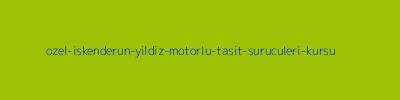 Özel İskenderun Yıldız Motorlu Taşıt Sürücüleri Kursu