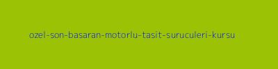 Özel Son Başaran Motorlu Taşıt Sürücüleri Kursu