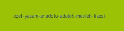 ÖZEL YAŞAM ANADOLU ADALET MESLEK LİSESİ